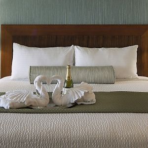 Zimmer mit Kingsize-Bett